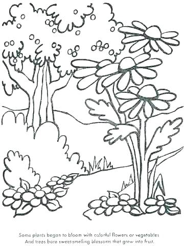 360x480 Plants Coloring Page Ocean Plants Coloring Pages Coloring Pages