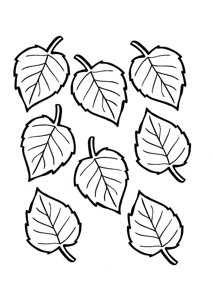 728x969 Plants Coloring Pages Nice Kids How To Draw Free Plants Coloring