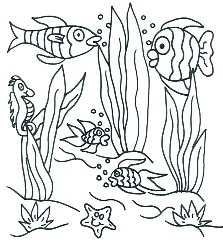 736x811 Plants Coloring Pages The Sun And Plants Of Nature Coloring Page