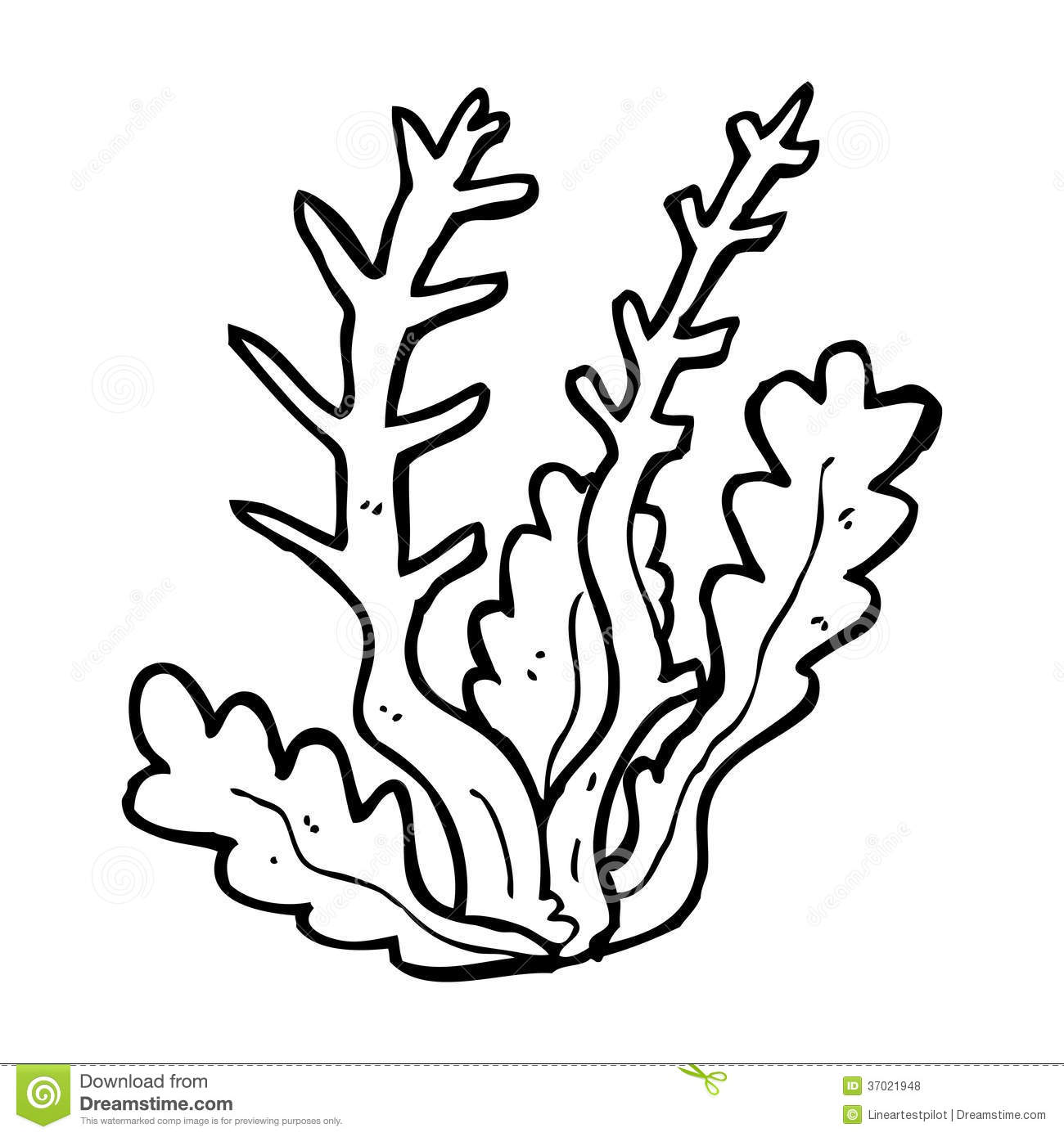1300x1390 Unlock Sea Plants Coloring Pages To Coloring Pages