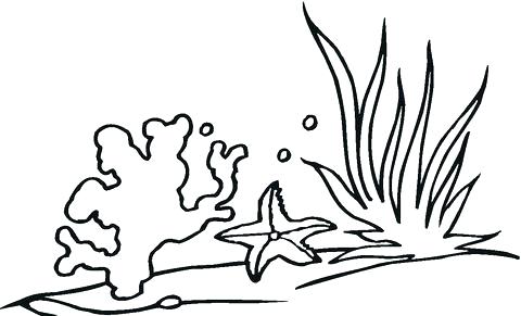 480x291 Coral Coloring Pages Ocean Fish Coloring Pages Ocean Plants Among