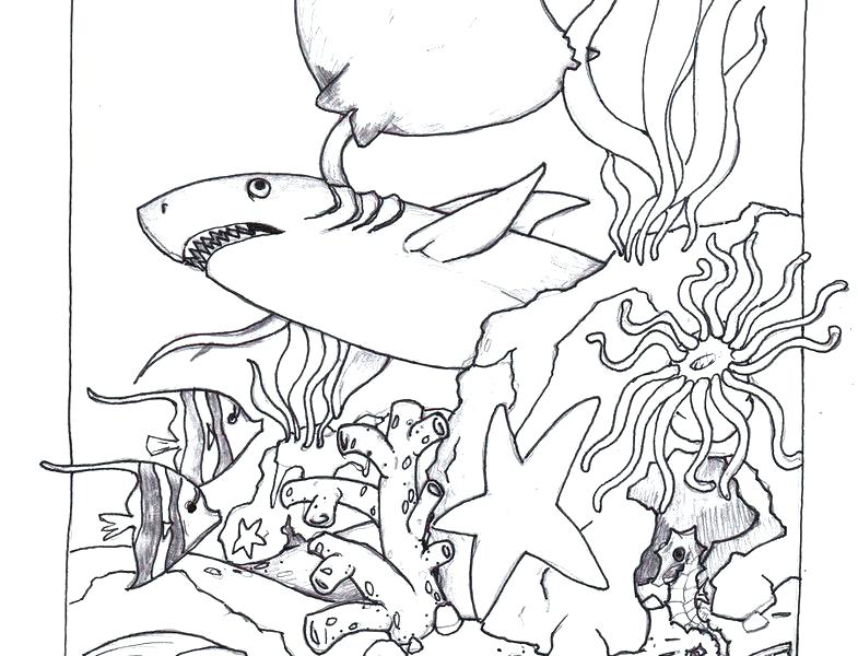 785x600 Ocean Coloring Pages Ocean Scene Coloring Page Deep Sea Animals