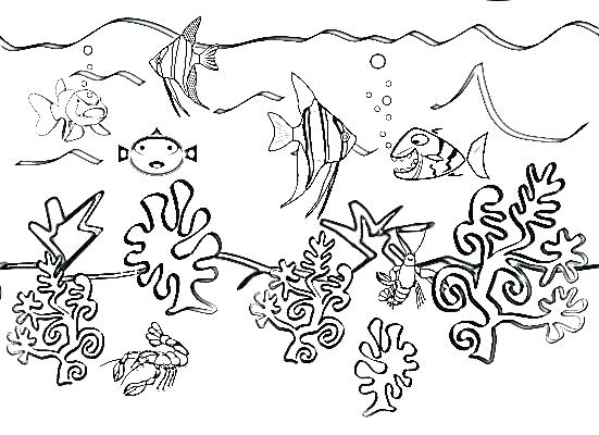 551x400 Ocean Scene Coloring Page Underwater Pages Life Google Search