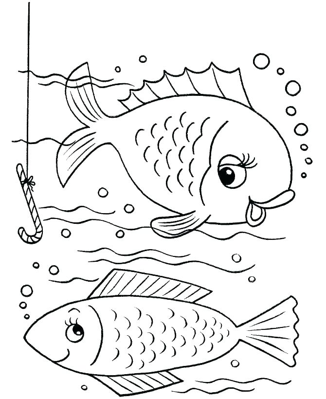 Coloring Pages Ocean Sea Life Pages Marine Ocean Theme Drawn 670x820 Coloring Pages Ocean Sea Life Pages Marine Ocean Theme Drawn