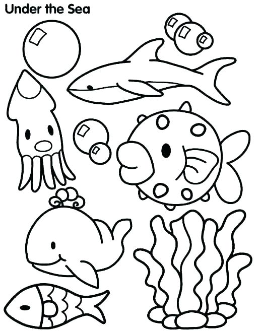 Ocean Coloring Pages For Kids Vanda 520x659 Ocean Coloring Pages For Kids Vanda