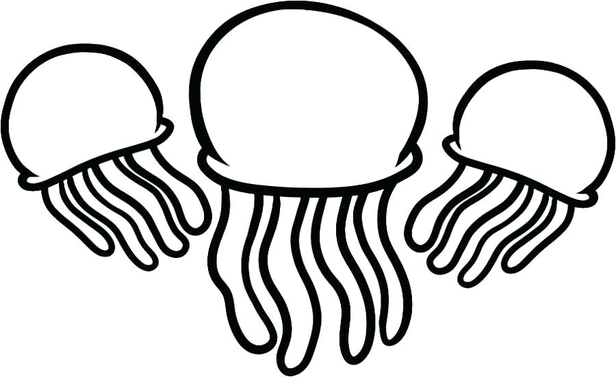 900x551 Jellyfish Coloring Page Jellyfish For Coloring Jellyfish Coloring