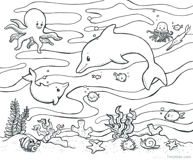 735x610 Jellyfish Coloring Pages