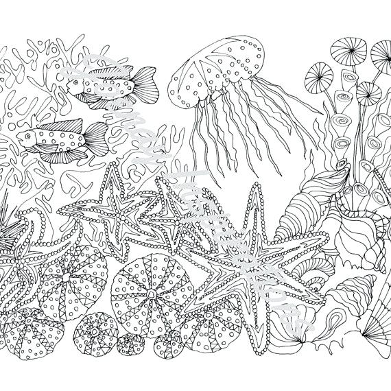 570x570 Ocean Coloring Pages Adults Ocean Themed Coloring Pages