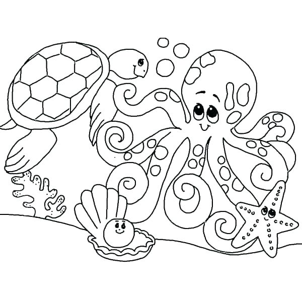 600x600 Seahorse Coloring Sheet Seahorse Color Sheet Seahorse Outline Free