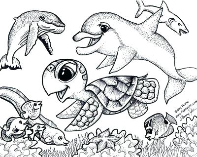 400x318 Beautiful Ocean Coloring Pages And Origami N Stuff 4 Kids Coloring