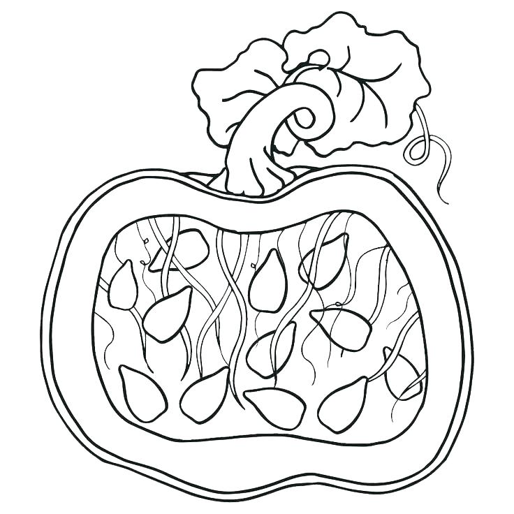 October Coloring Pages Coloring Pages To Print Free Printable 736x736 October Coloring Pages Coloring Pages To Print Free Printable