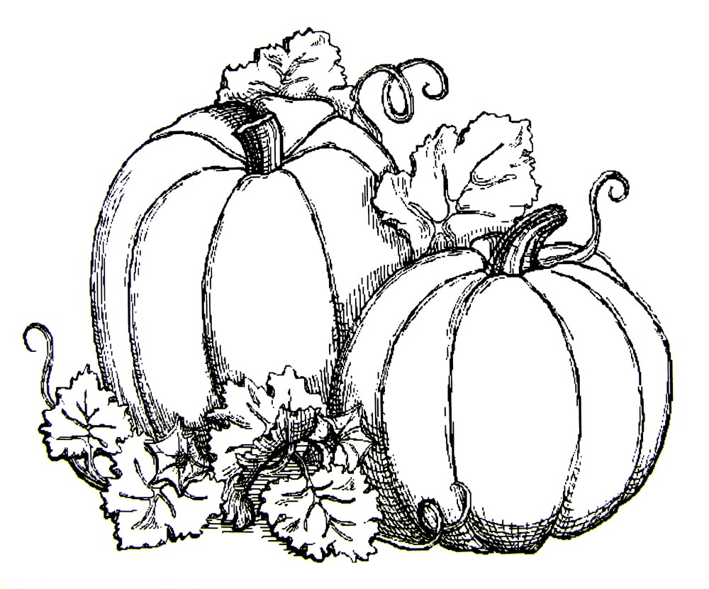 Soar October Coloring Sheets Page Vitlt Com 1000x830 Soar October Coloring Sheets Page Vitlt Com