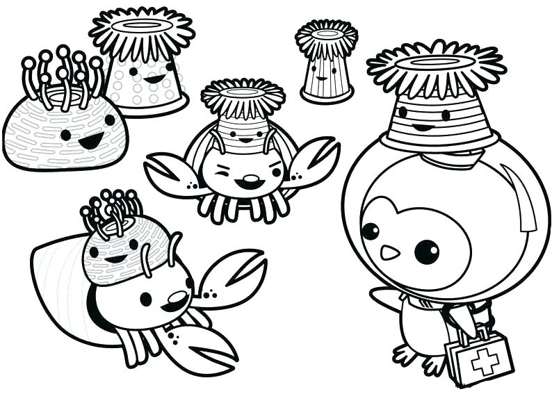 794x567 Octonauts Coloring Pages Coloring Pages Coloring Pages Printable
