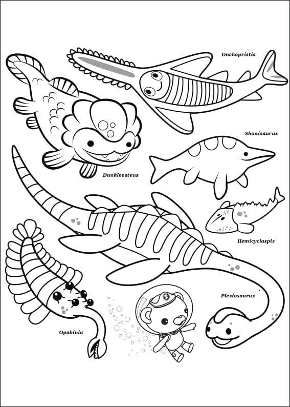 Coloring Pages Octonauts Free Printable Coloring Sheets Octonauts 567x794 Coloring Pages Octonauts Free Printable Coloring Sheets Octonauts