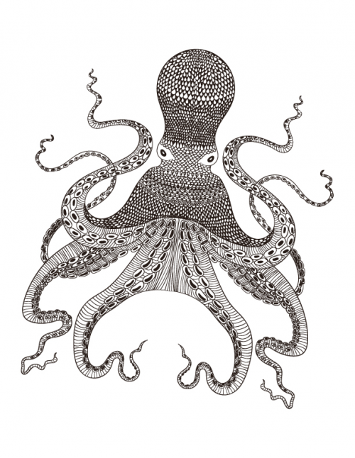 Octopus Coloring Page 500x646 Octopus Coloring Page