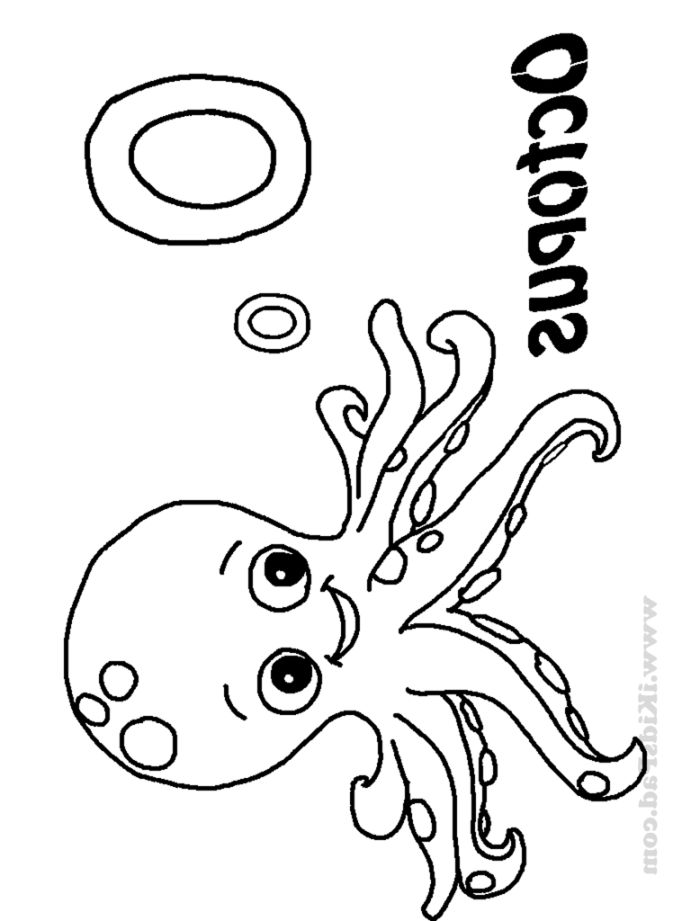 Octopus Coloring Page at GetColorings.com | Free printable colorings ...