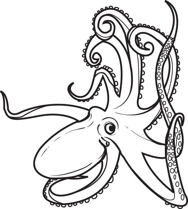 Octopus Coloring Page Octopus Creatures 632x700 Octopus Coloring Page Octopus Creatures