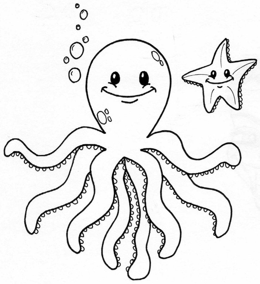 A Ordable Realistic Octopus Coloring Page Cute 855x934 A Ordable Realistic Octopus Coloring Page Cute