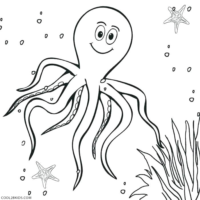 Octopus Outline Coloring Page With Octopus Outline Coloring Page 700x700 Octopus Outline Coloring Page With Octopus Outline Coloring Page