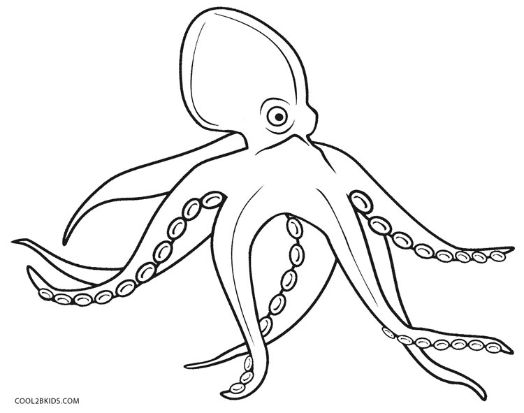 Printable Octopus Coloring Page For Kids Cool2bkids 750x591 Printable Octopus Coloring Page For Kids Cool2bkids