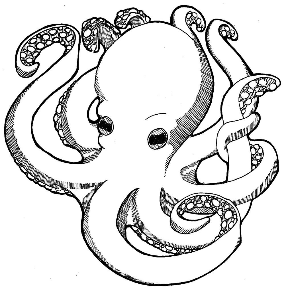 Wanted Realistic Octopus Coloring Page Free Printable Pages 1004x1024 Wanted Realistic Octopus Coloring Page Free Printable Pages