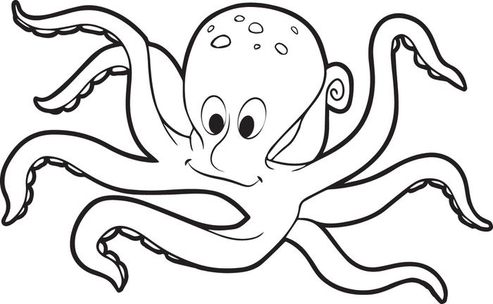 Octopus Coloring Pages Free Printable Octopus Coloring Page 700x432 Octopus Coloring Pages Free Printable Octopus Coloring Page