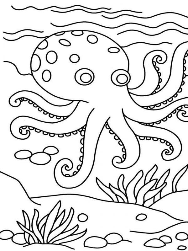 Octopus Coloring Page Printable