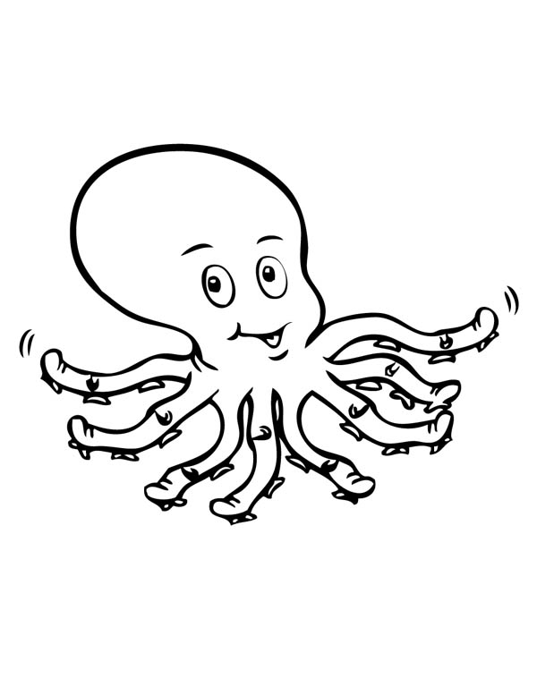 Octopus 600x777 Octopus