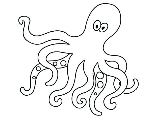 Octopus Color Page Octopus Color Page Printable Octopus Coloring 618x502 Octopus Color Page Octopus Color Page Printable Octopus Coloring