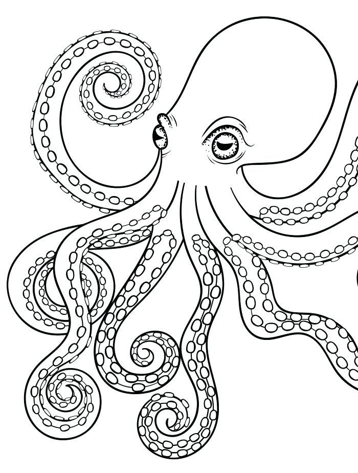 Octopus Coloring Page Octopus Adult Coloring Page For Adults 700x924 Octopus Coloring Page Octopus Adult Coloring Page For Adults