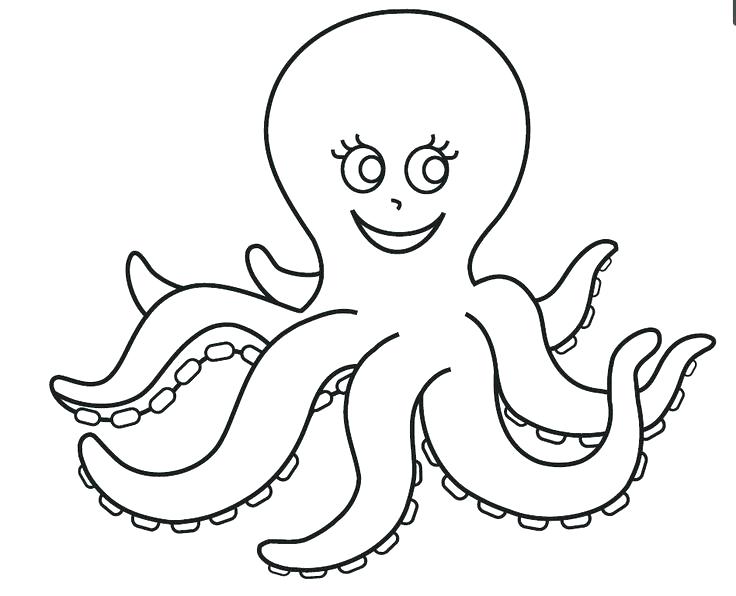 Octopus Coloring Page Octopus Ocean Coloring Page Octopus Coloring 736x596 Octopus Coloring Page Octopus Ocean Coloring Page Octopus Coloring
