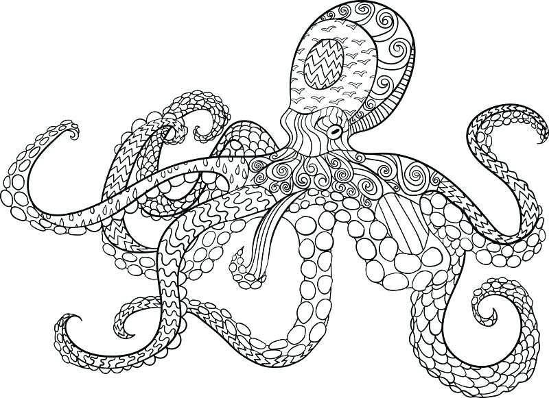 Octopus Coloring Page Octopus Color Page Dr Octopus Coloring Pages 800x581 Octopus Coloring Page Octopus Color Page Dr Octopus Coloring Pages