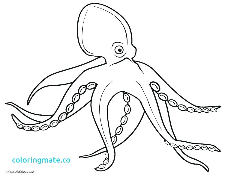 Octopus Coloring Pages Octopus Coloring Pages Octopus Coloring 750x591 Octopus Coloring Pages Octopus Coloring Pages Octopus Coloring