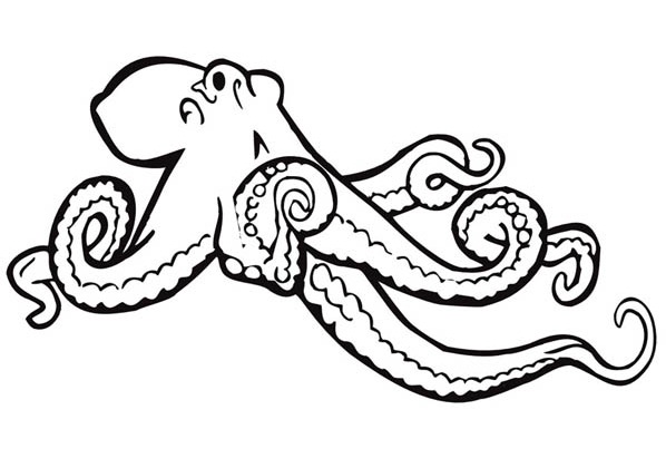 Printable Giant Octopus Coloring Page 598x420 Printable Giant Octopus Coloring Page