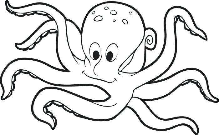 Octopus Coloring Pages Impair.co 700x432 Octopus Coloring Pages Impair.co