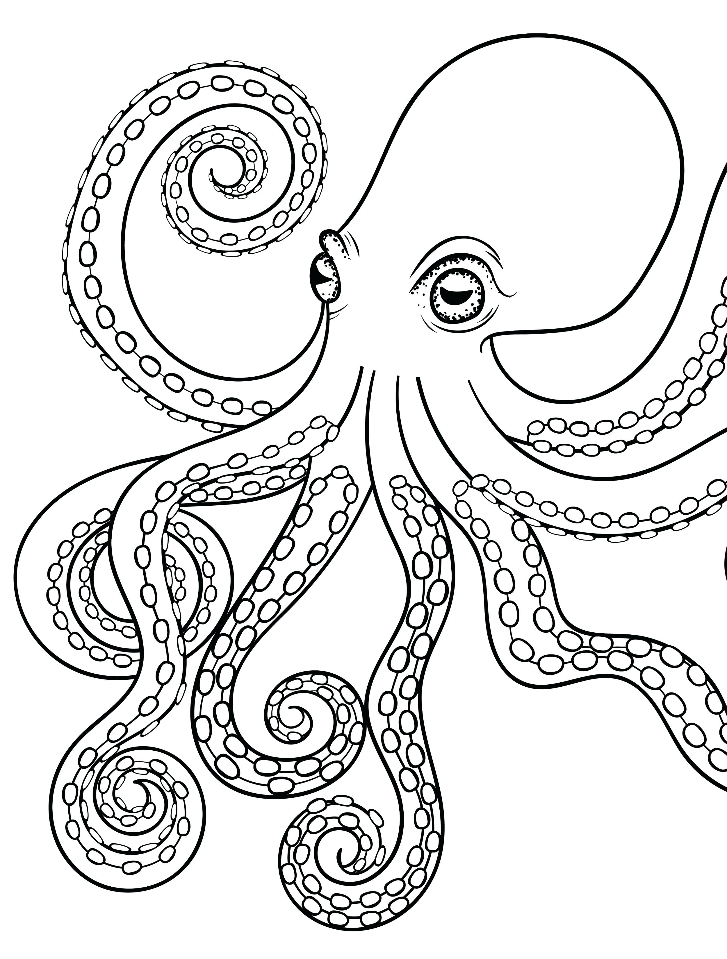 Octopus Coloring Pages For Kids