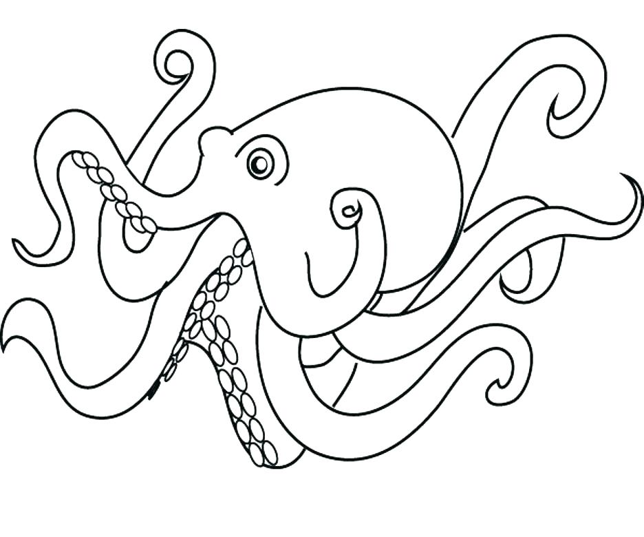 936x780 Octopus Color Page Kids Free Coloring Coloring Pages Octopus