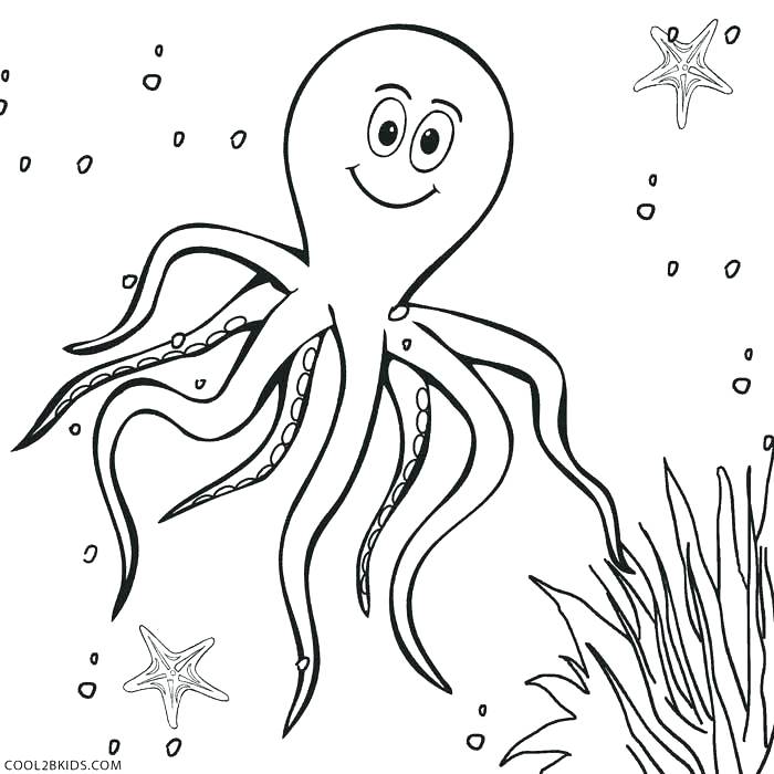 700x700 Octopus Color Page Octopus Adult Coloring Page For Adults Coloring