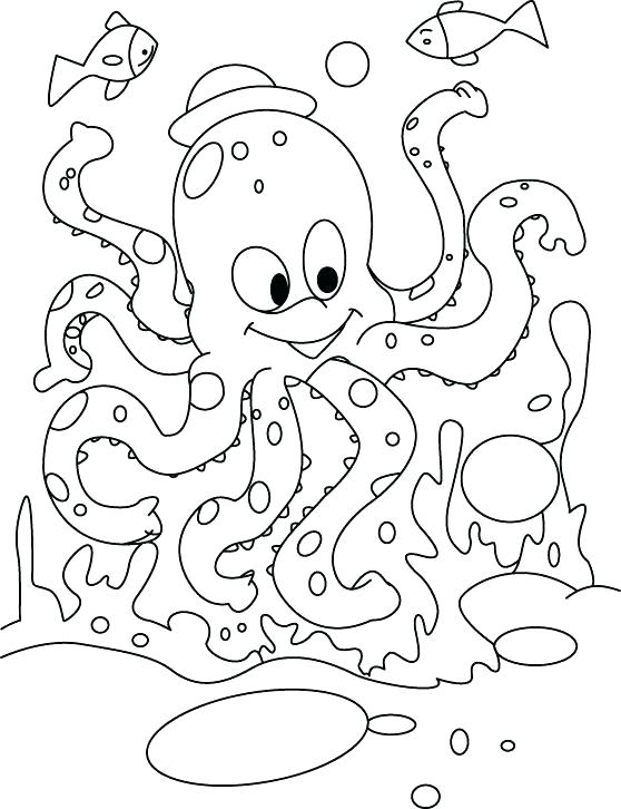 Octopus Coloring Pages For Kids at GetColorings.com | Free printable ...
