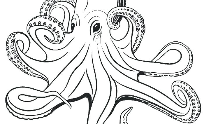 700x425 Octopus Coloring Pages Printable Of Octopuses O For Page Preschool