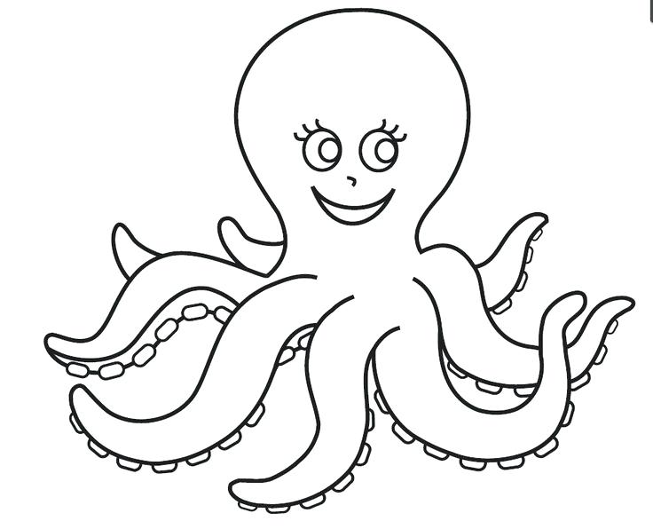 736x596 Octopus Coloring Pages The Lucky Rabbit Coloring Pages The Lucky
