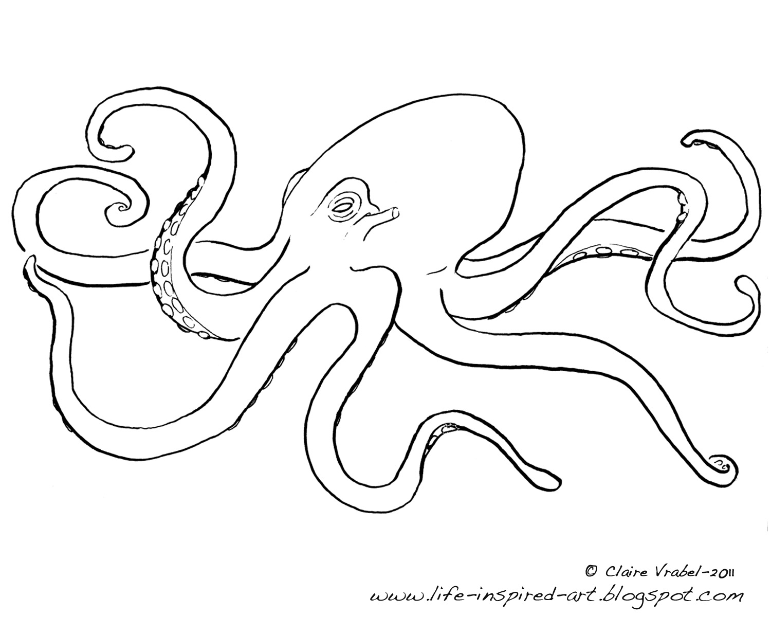 1500x1200 Strange Realistic Octopus Coloring Page Reveal