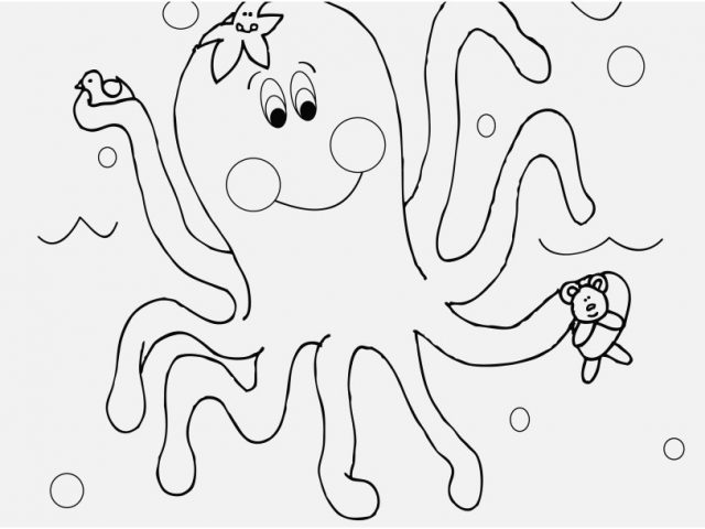 640x480 Swim Coloring Pages Design Free Printable Octopus Coloring Pages