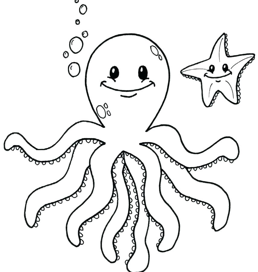 855x900 Coloring Page Octopus Impair.co