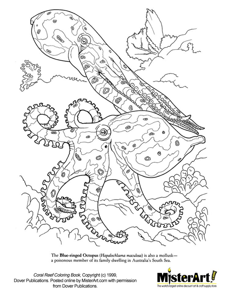 Octopuss Coloring Pages
