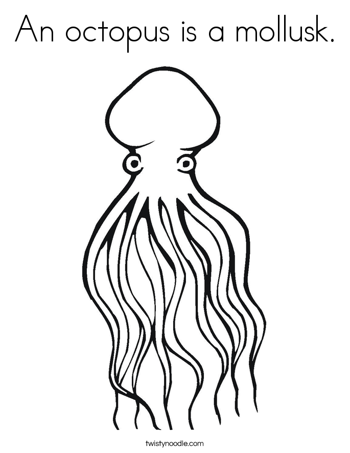 Famous Octopus Template Elaboration 685x886 Famous Octopus Template Elaboration