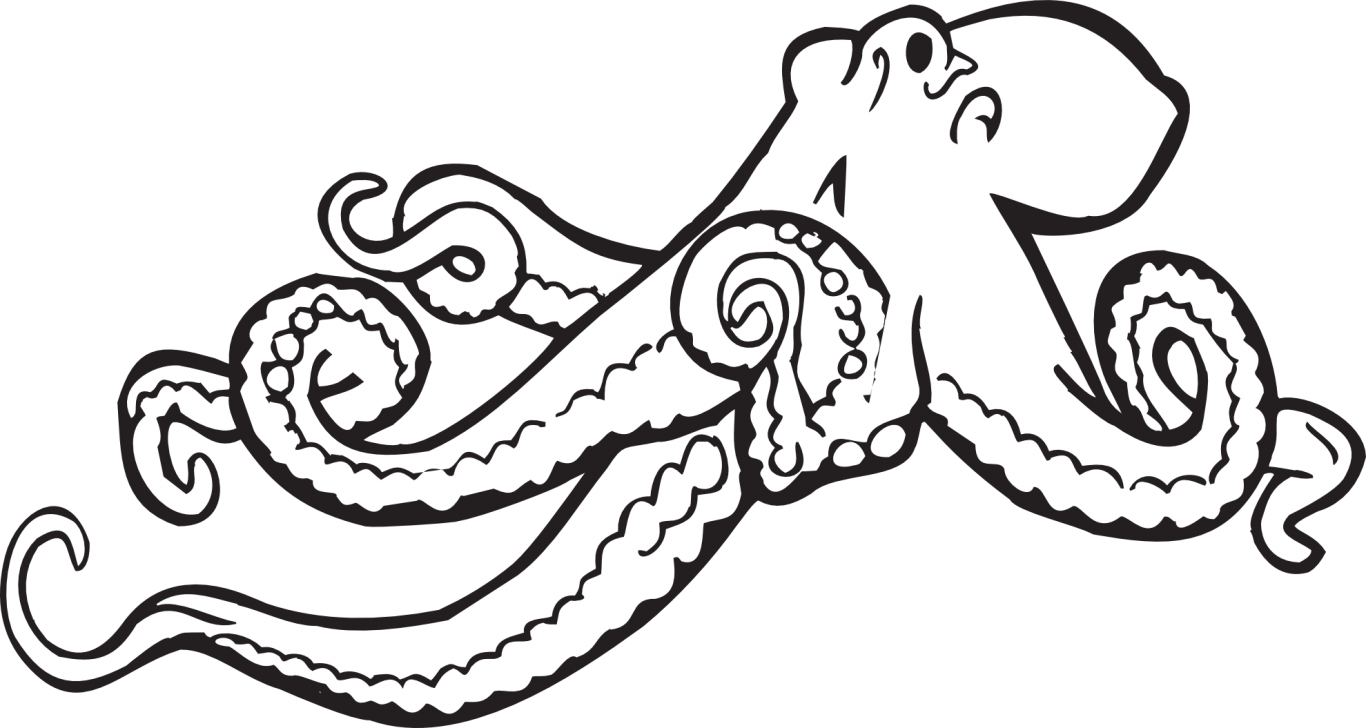 Free Animals Octopus Printable Coloring Pages For Kids Cut 1366x728 Free Animals Octopus Printable Coloring Pages For Kids Cut
