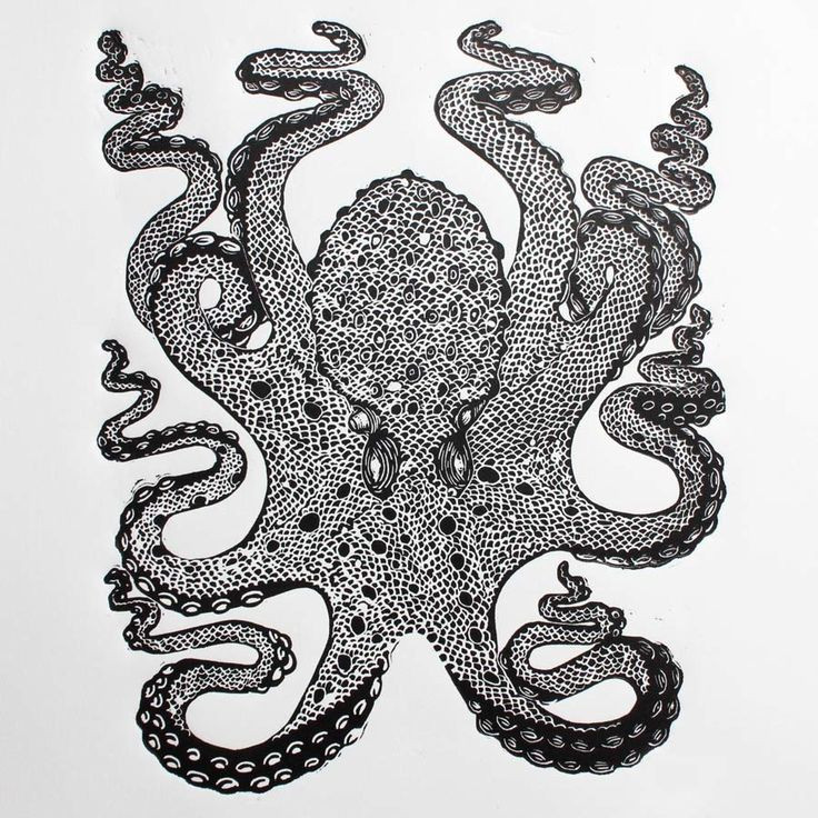 Octopus Woodcut Free Coloring Pages 736x736 Octopus Woodcut Free Coloring Pages
