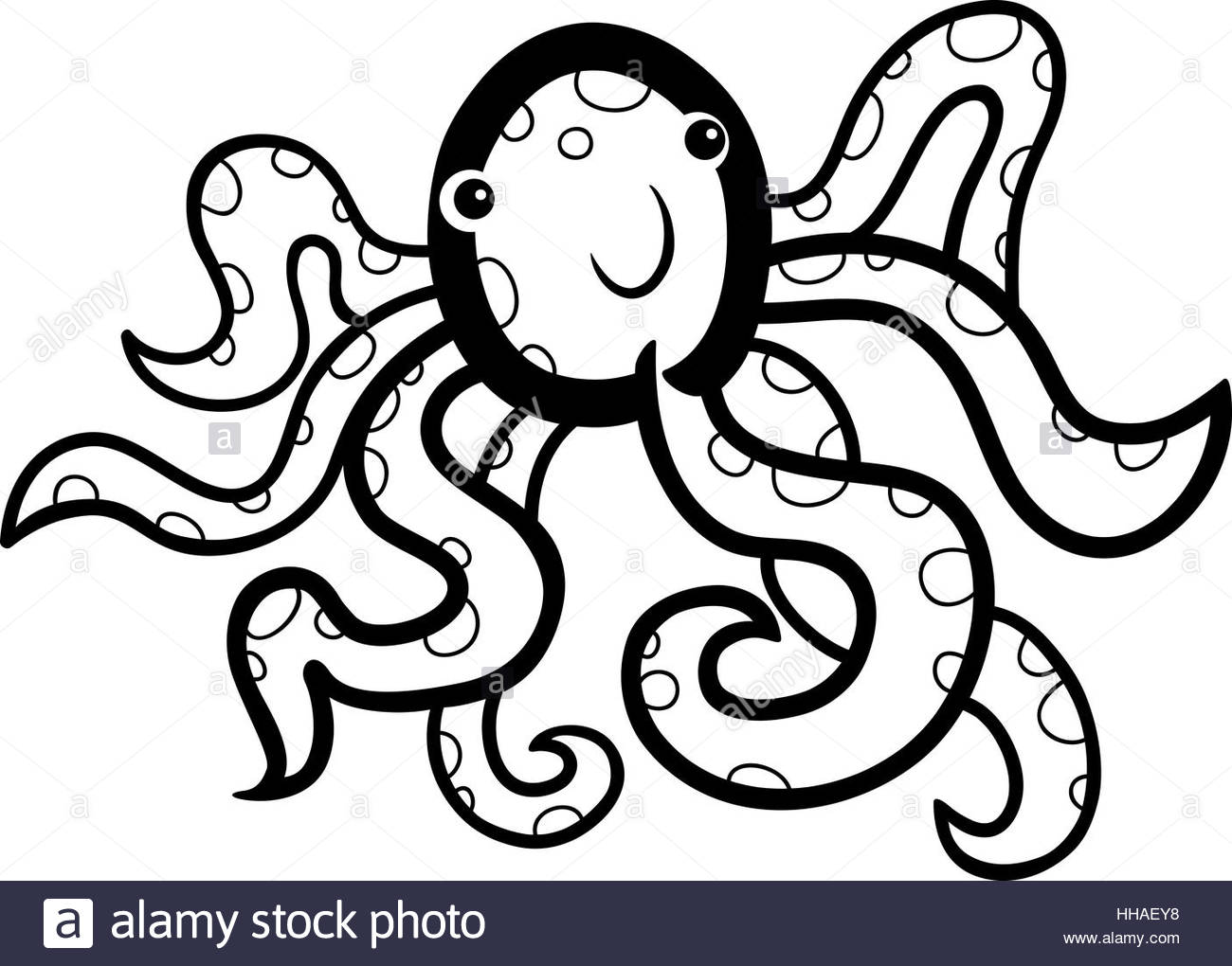 Squid Illustration Stock Photos Amp Squid Illustration Stock Images 1300x1020 Squid Illustration Stock Photos Amp Squid Illustration Stock Images