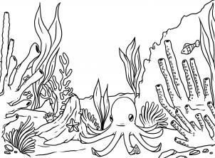224 Best Octopus Garden Illustration Interpretation Of Song 302x222 224 Best Octopus Garden Illustration Interpretation Of Song